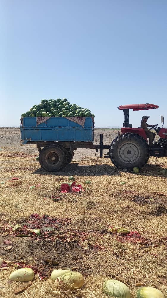 تنوع بالای محصولات