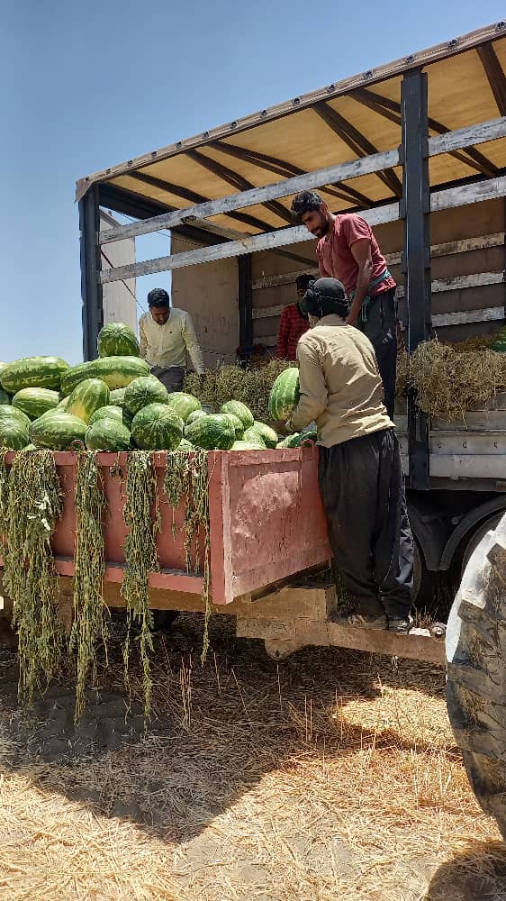 کیفیت بالای محصولات